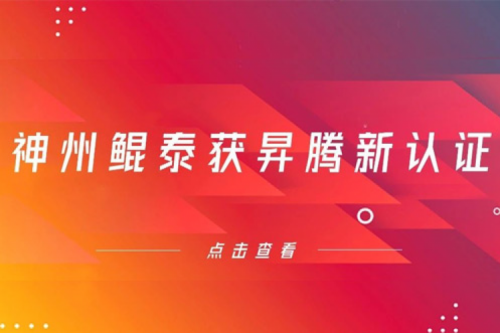 智能算力再添新力，PT电子(中文)官网获得昇腾新认证