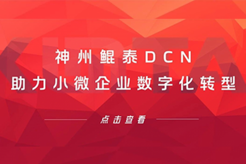 PT电子(中文)官网DCN助力小微企业数字化转型